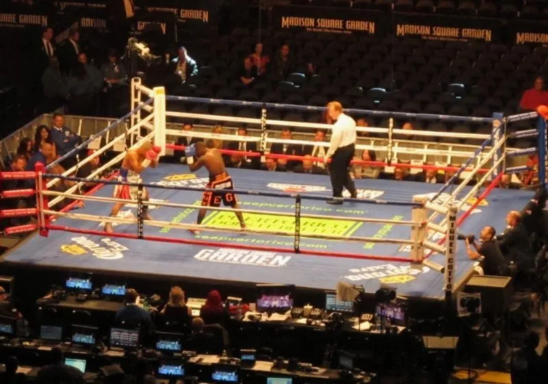cấu tạo boxing ring