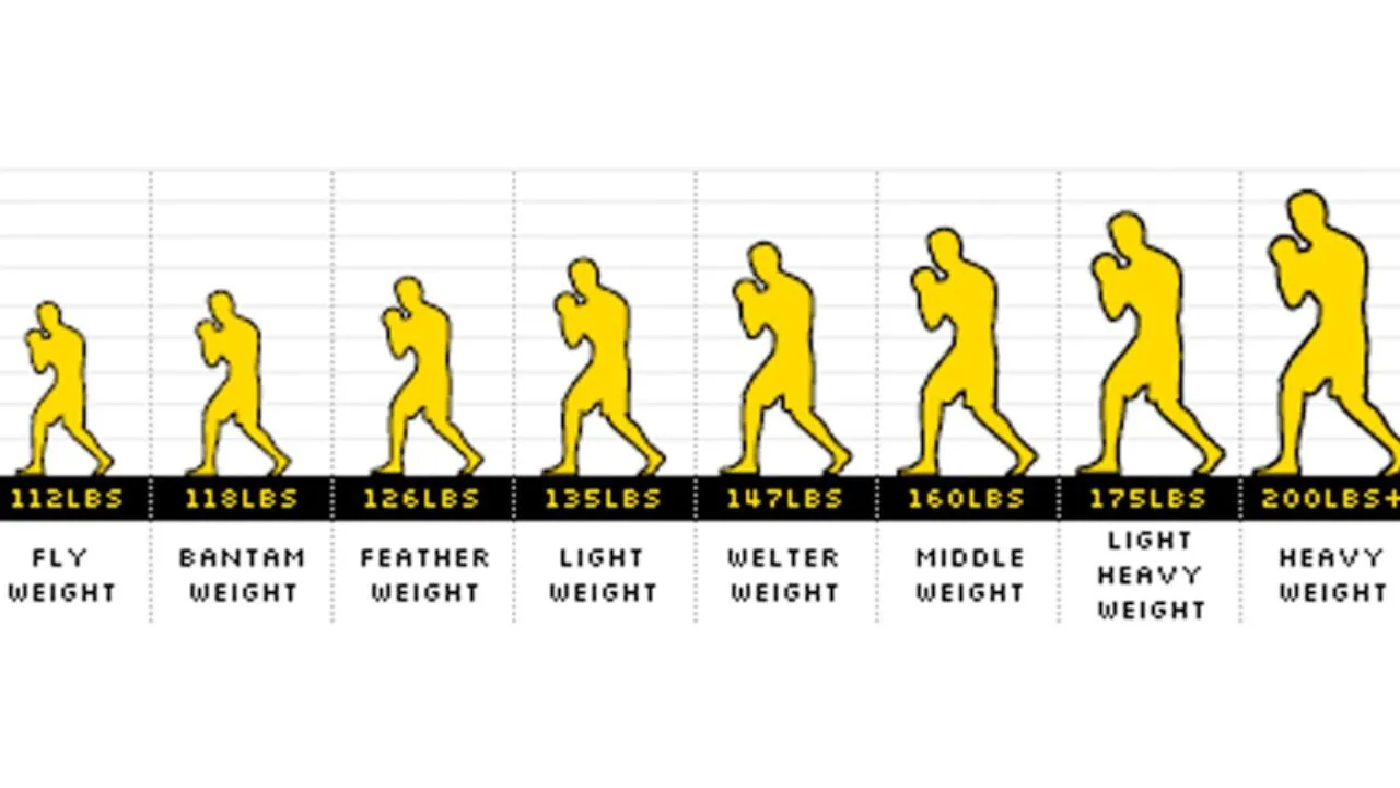 các hạng cân boxing là gì