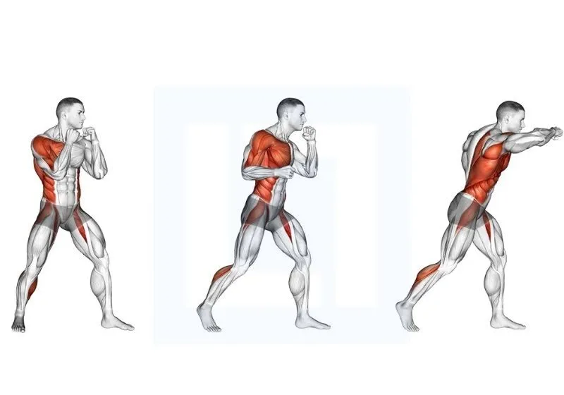 giới thiệu hook boxing