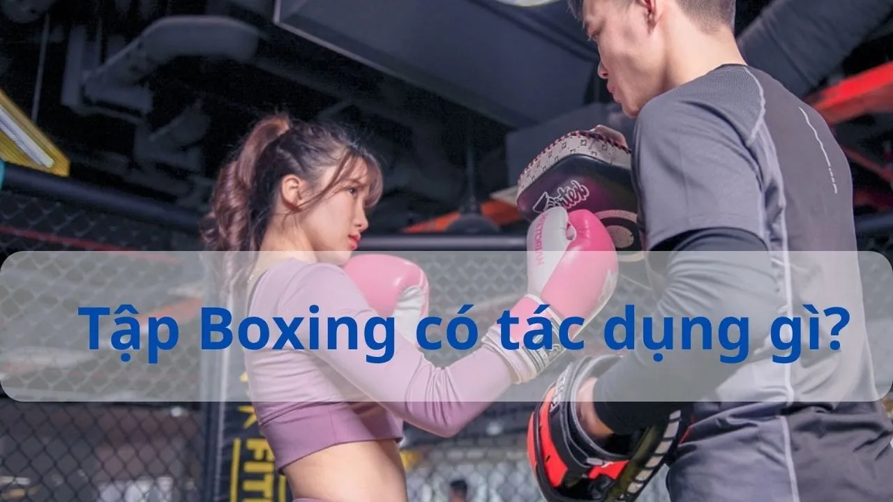 tập boxing có tác dụng gì